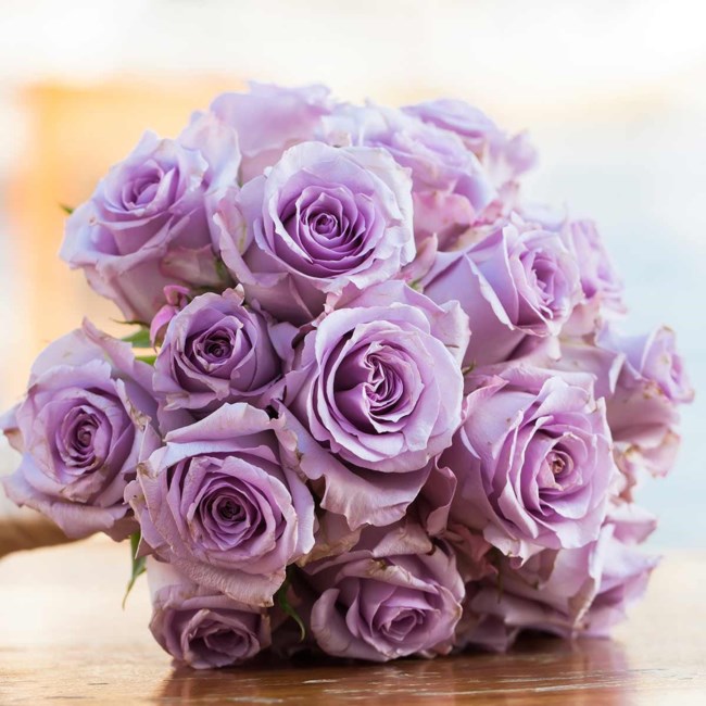 Obituary of Sally F. Villalpando
