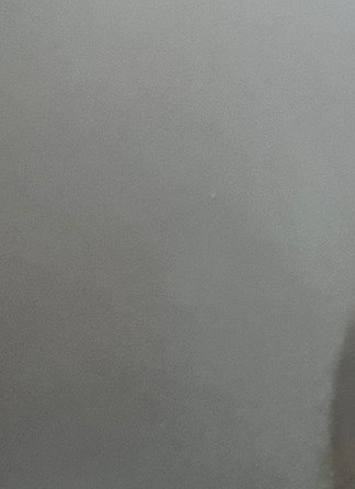 Diane Lee Kemker Obituary Tampa FL diane-lee-kemker-obituary-tampa-fl