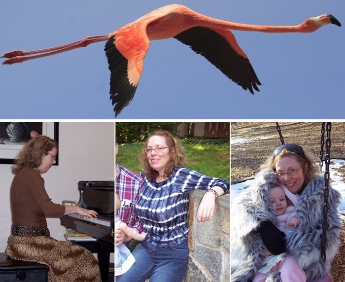 Obituary of Gail K. Hoehl