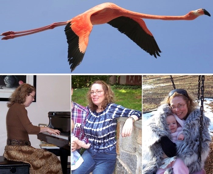 Obituary of Gail K. Hoehl