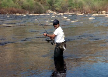 Obituary of Alan George Werner