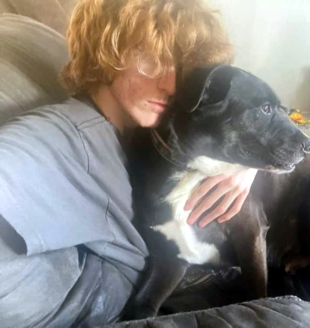 Obituary of Nicholas Vincent Meo