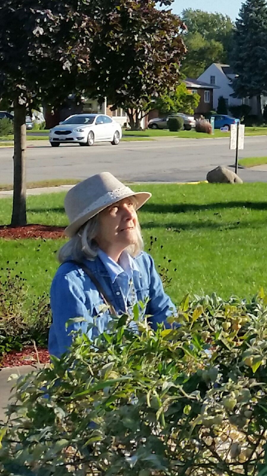 Aida Gemini Obituary Forest Park, IL