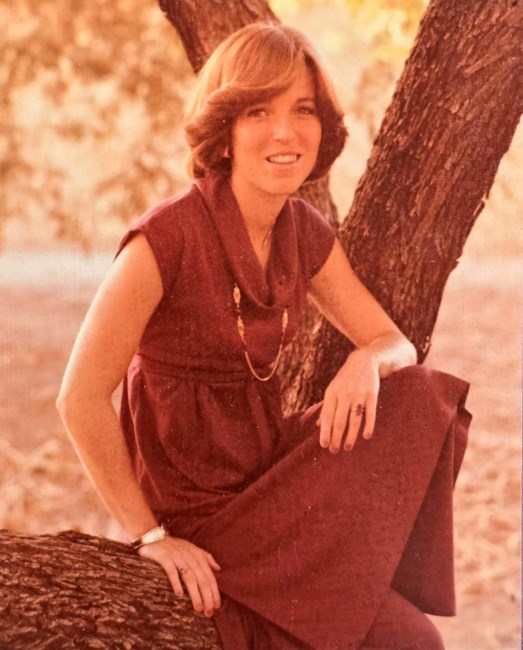 Obituary of Theresa JoAnn Hoopingarner