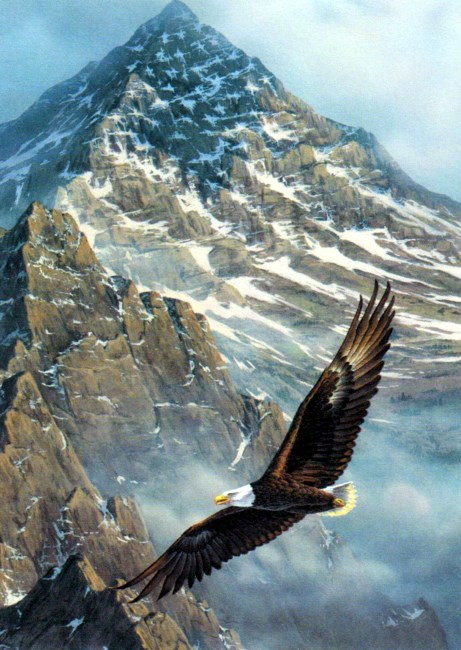 Obituary of Robert John McAllister