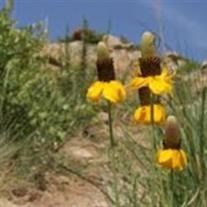 Obituary of Robert C. Brownell