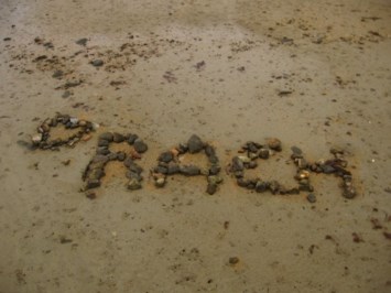 Obituary of Rachel Lynn Cummins