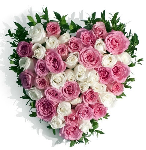 Obituary of Silvia Godoy