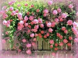 Obituary of Emmie Clarice Robertson