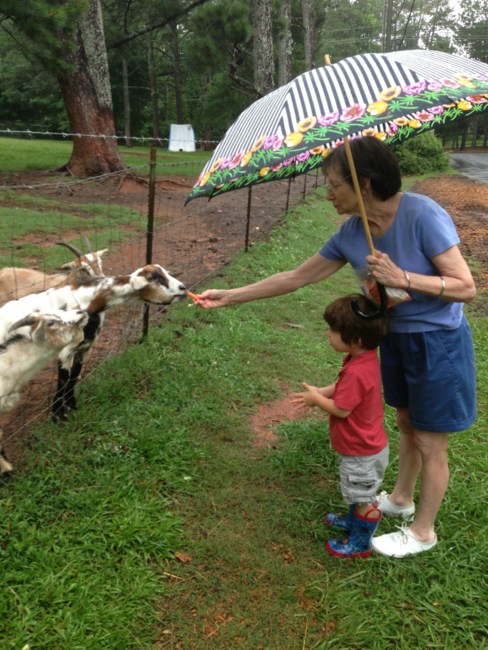 Obituary of Ruth Letowsky