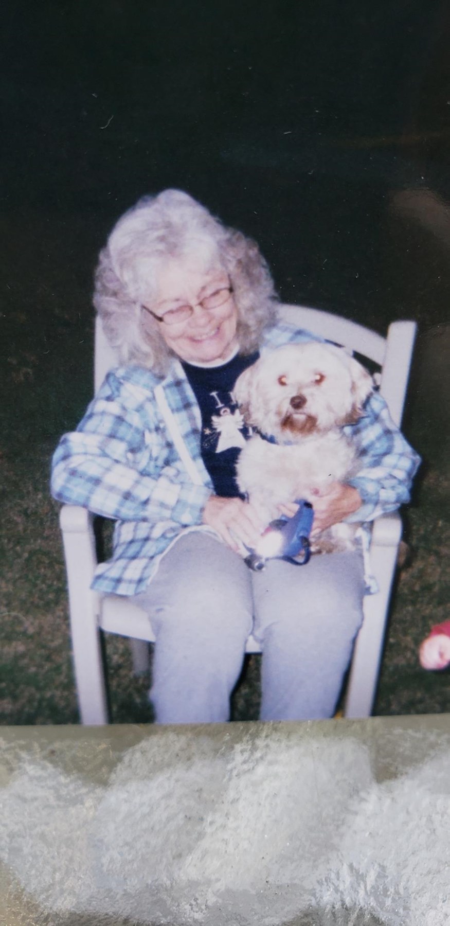 Obituary of Bonnie Lee Jenkins