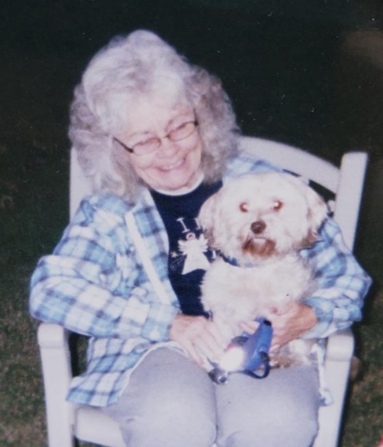 Obituary of Bonnie Lee Jenkins