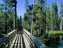 Obituary of Vernon W. (Bodine) Brazelton