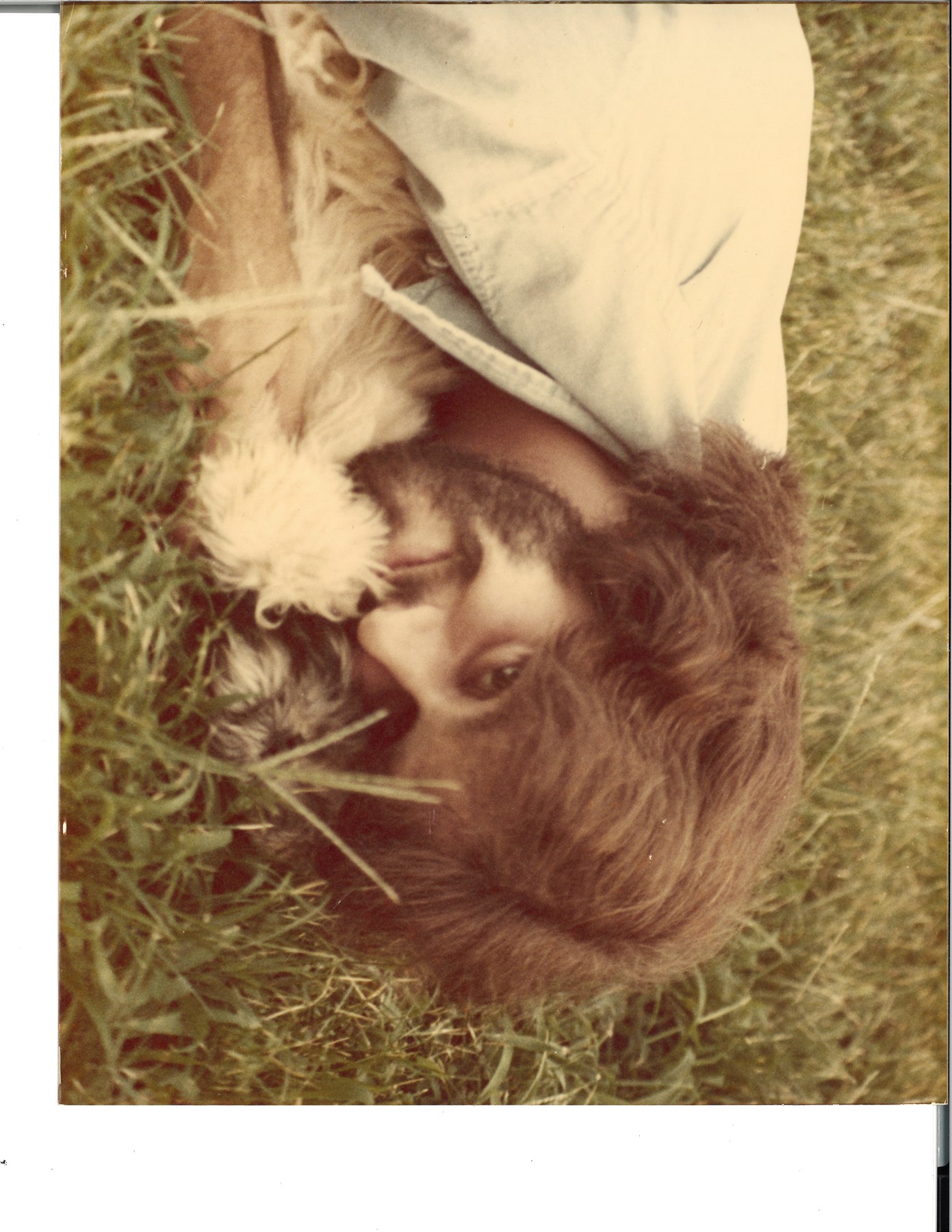 Obituary of Ronald Gentry