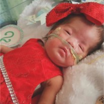 Obituary of Faith Estrada Lozoya