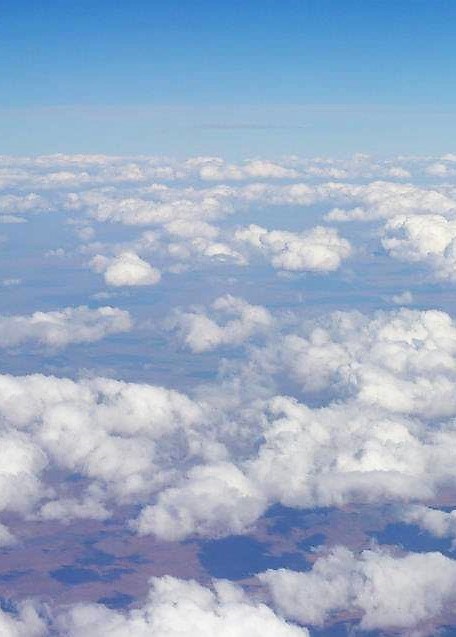 Obituary of Zoran Vujovic