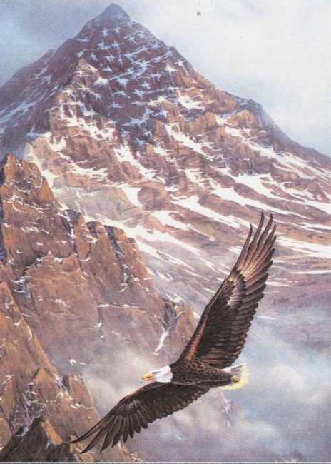 Obituary of Earl Thomas Stottman