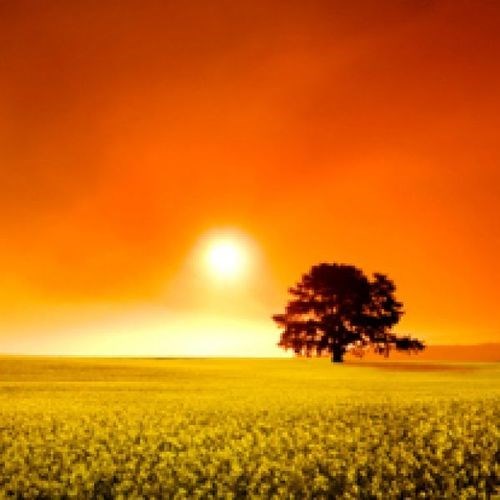 Obituary of Errol Lloyd Wilson