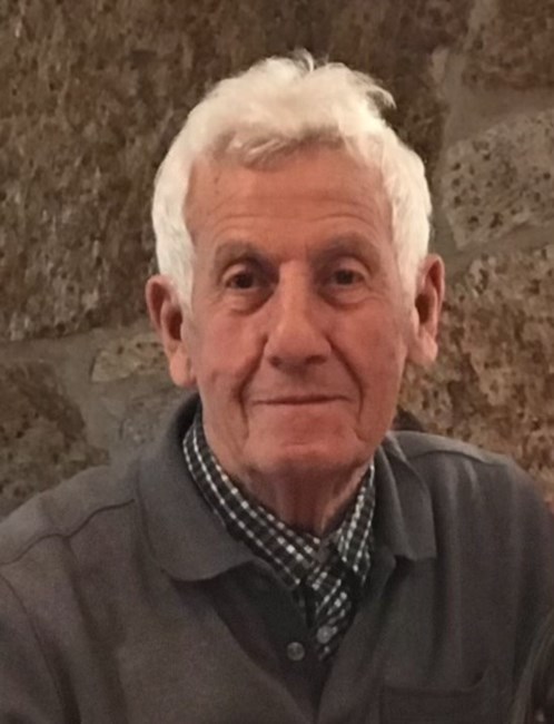 Obituary of Salvatore C. Vassallo