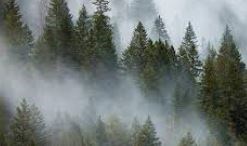 Obituary of Hee Kyung Na