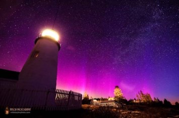 Obituary of Edith Isabel Shores