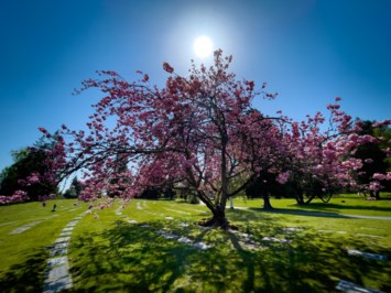 Obituary of Marjorie Ellen Strong