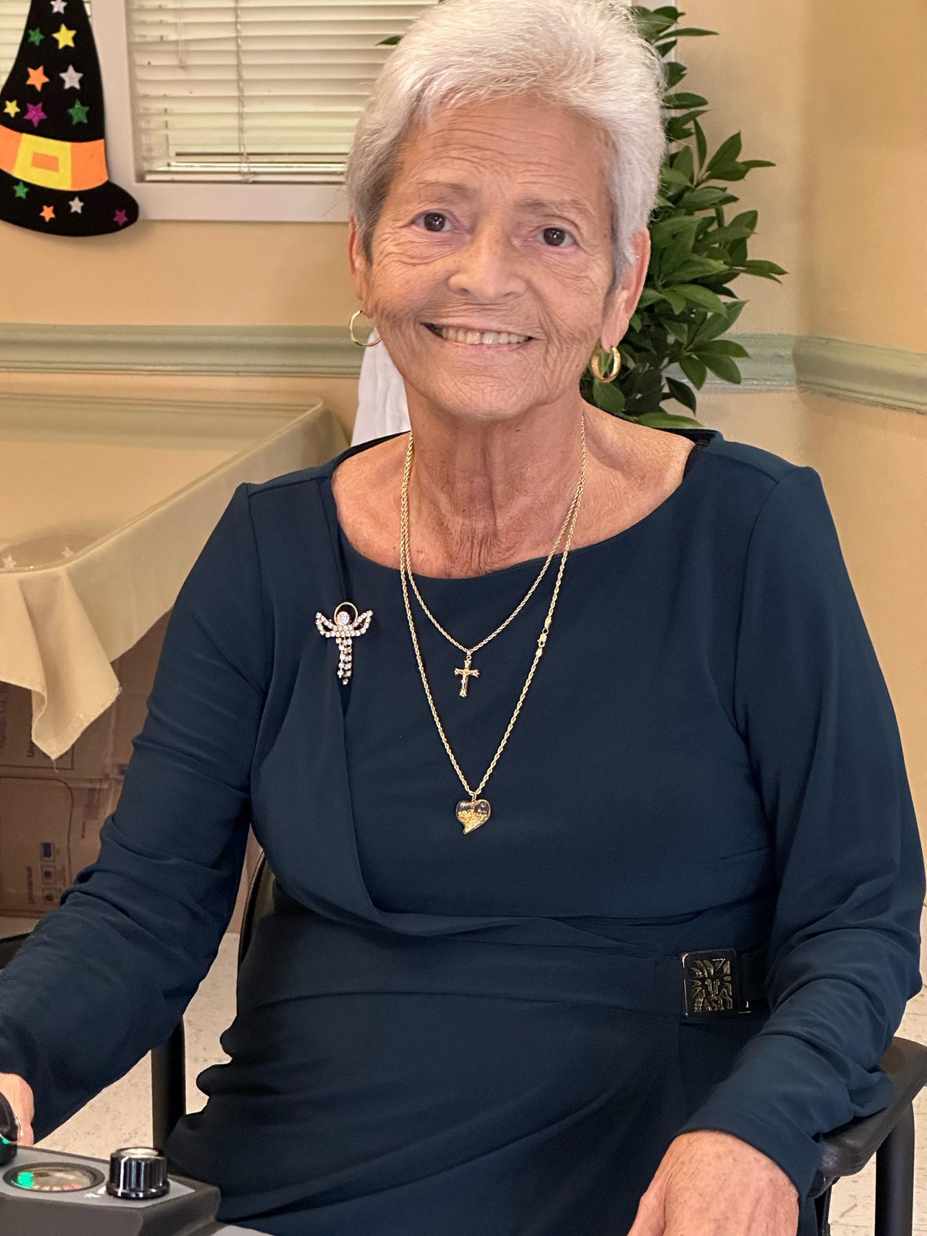 Carmela Polizzotto Obituary Cape Coral, FL