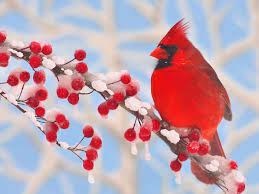 Obituario de Michael Harold Sides