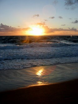 Obituary of Sandra Carolyn Stevens