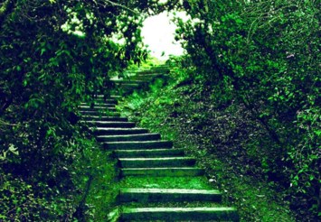 Obituary of Edward John Heaney