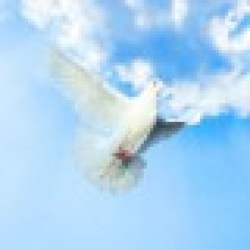 Obituary of Richard G. Mole