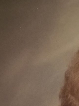 Marjorie Grimes Obituary - Arlington, TX