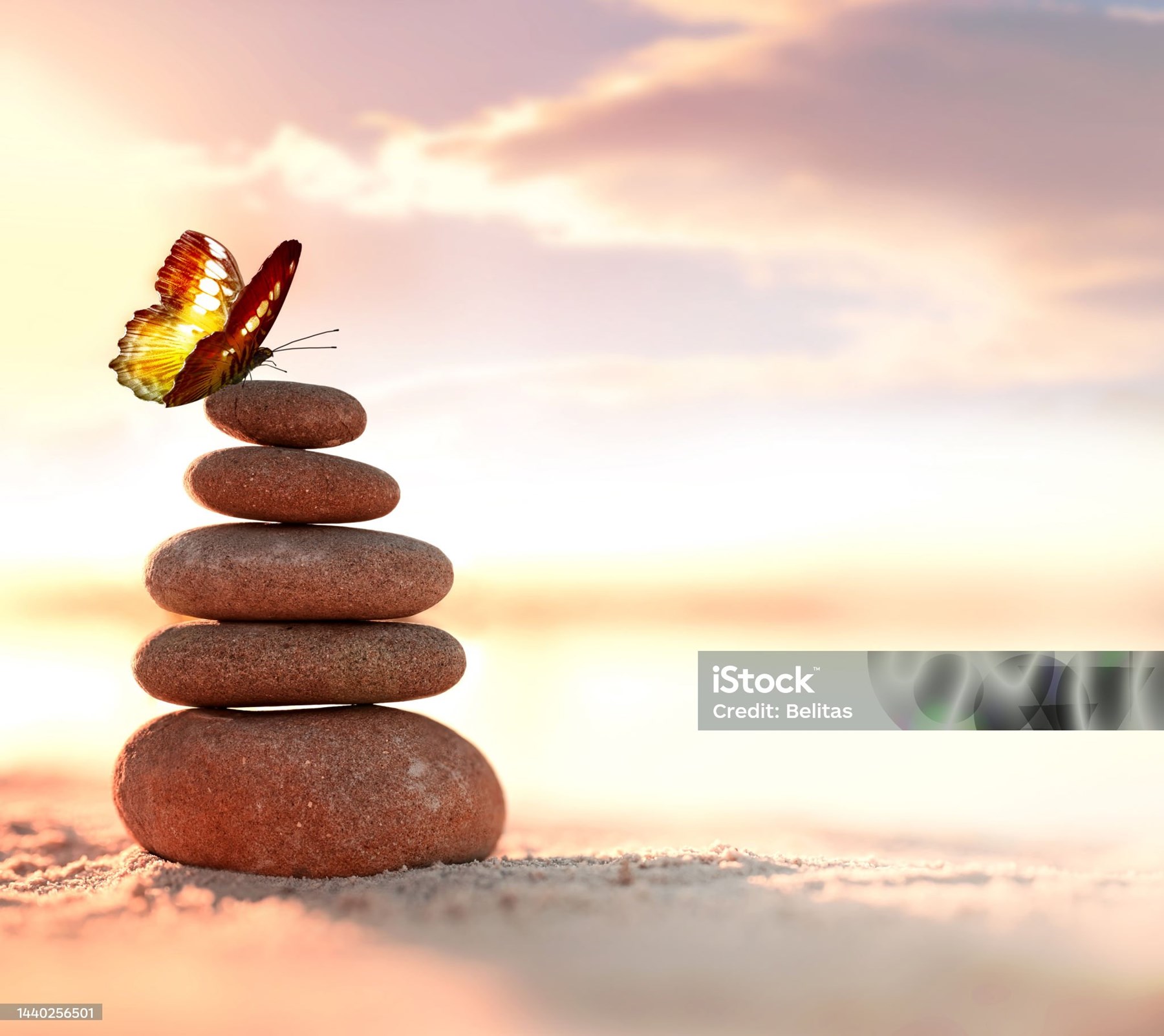 Obituary of Hoan Minh Le