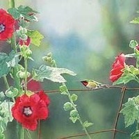Obituary of Arthur Kenneth Fournier