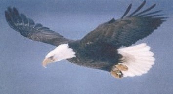 Obituary of Shirley Marie Andrews