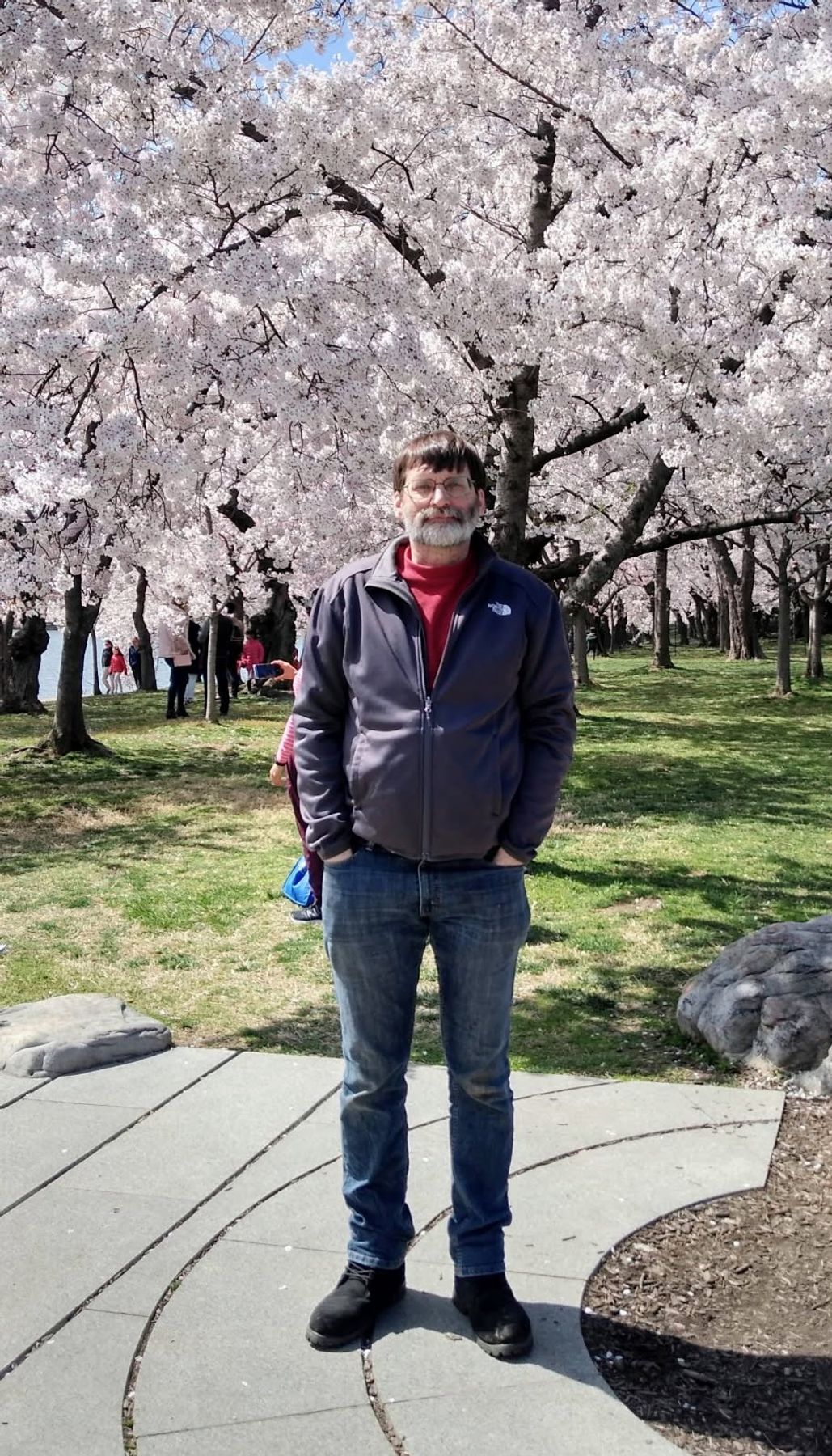 Obituary of Ted Collins