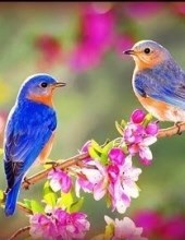 Obituary of Janice M. Brennan