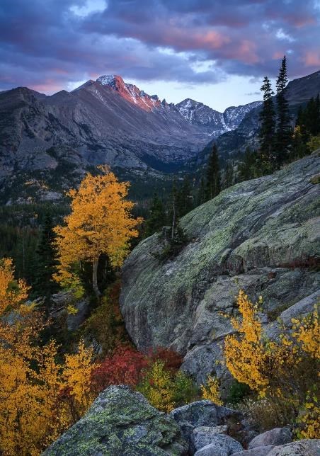 Obituary of Mitchell Karol Sieniawski