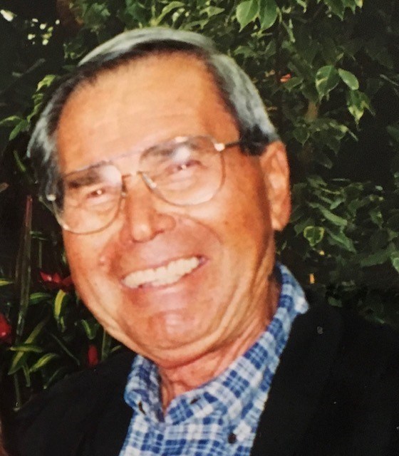 Obituary of David Vasconcellos Jr.