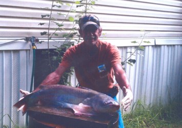 Obituary of Donald Wade Brock