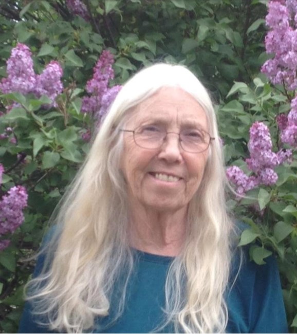 Obituary of Diane Laurlee Greenspan
