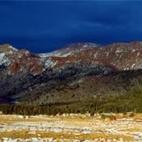 Obituary of Leonard Perry