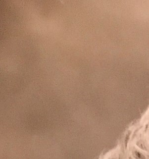 Patricia R. Rozelle Obituary North Palm Beach, FL