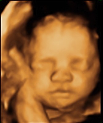 Obituary of Hayley Dawn Aylsworth