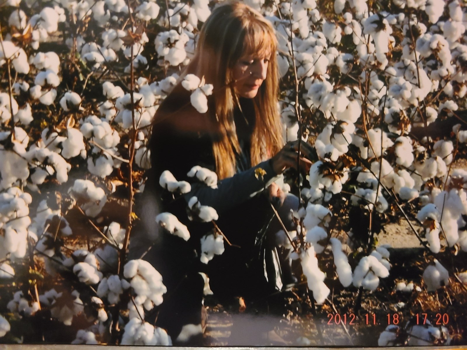 Obituary of Luisa Perez