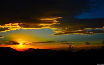 Obituary of Daniel Kirschner