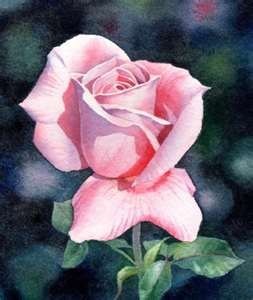 Obituary of Wilma Louise Smith Lines