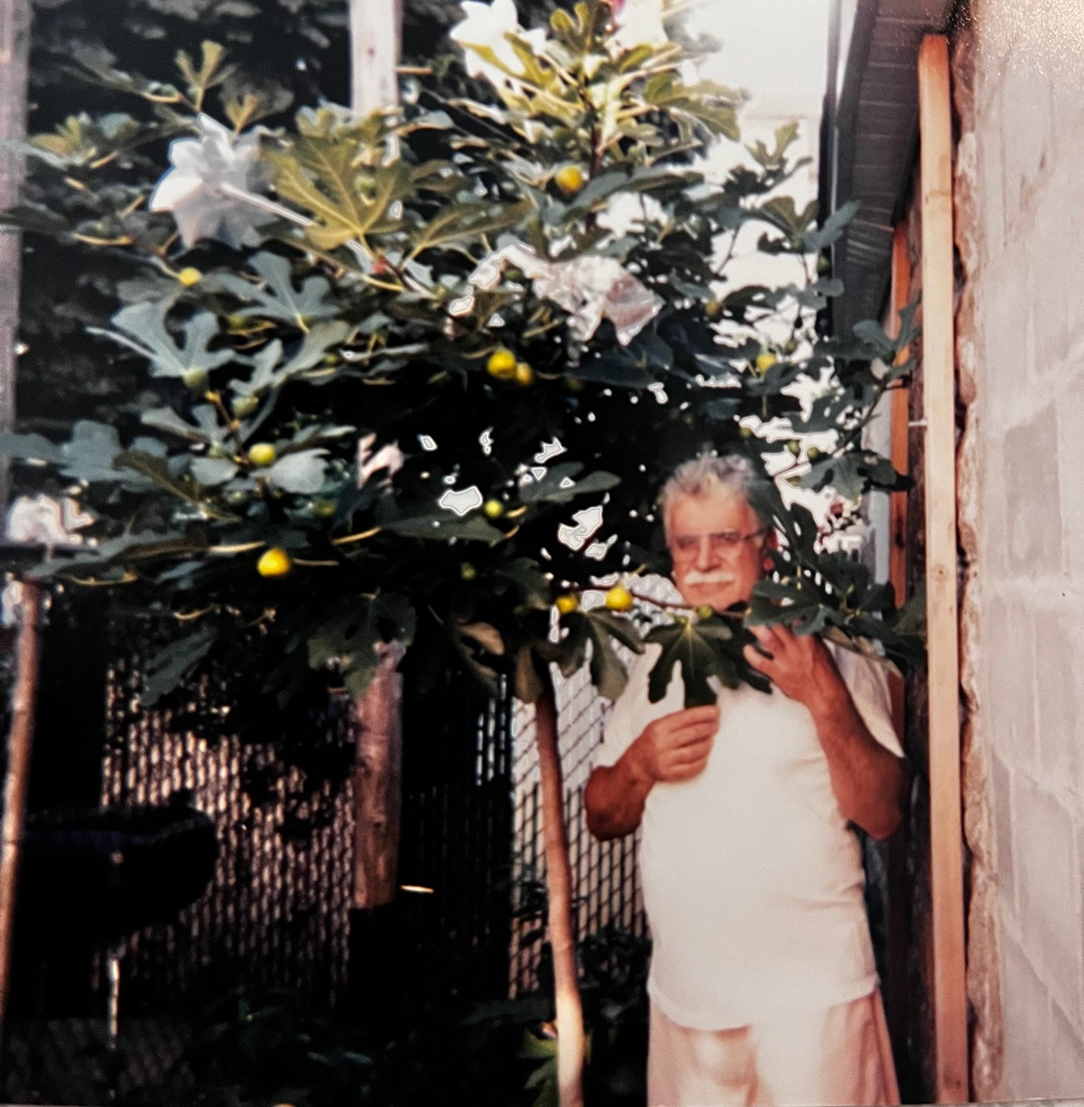 Avis de décès de Mr. Salvatore Stabile