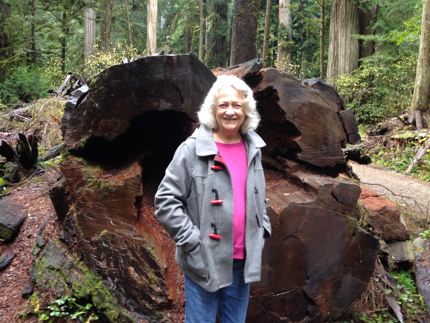 Obituary of Sharon Ann Duncan