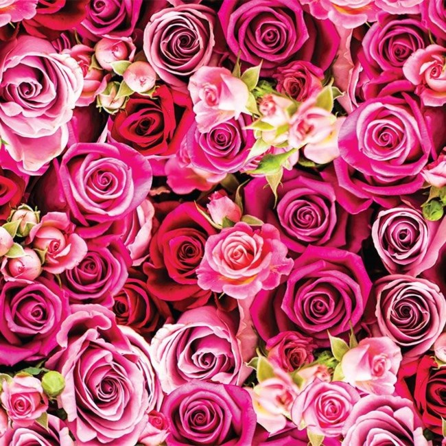 Obituary of Alicia S. Revutin